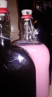 The Dark Side and the Candy Cane brews, almost ready for a mid winter tasting.