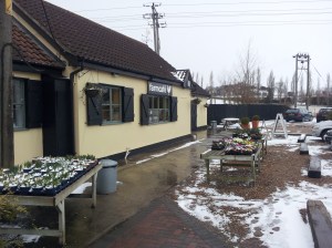 El cafe, still comfy and picturesque on a sleet monday lunchtime.